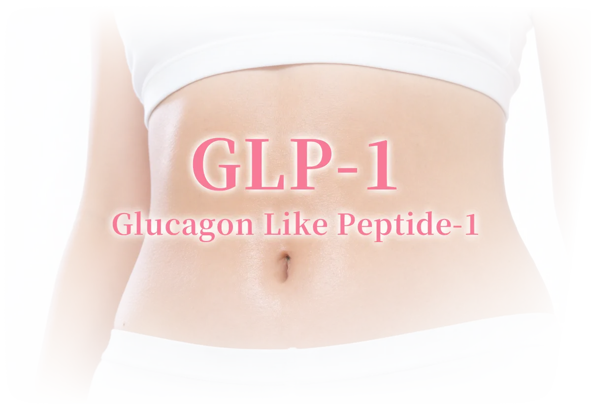 GLP-1 ホルモン